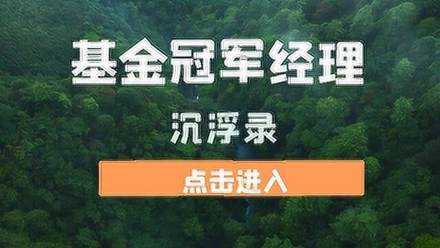 【招财嗑基】基金冠军经理沉浮录(下)#“知识抢先知”征稿大赛#