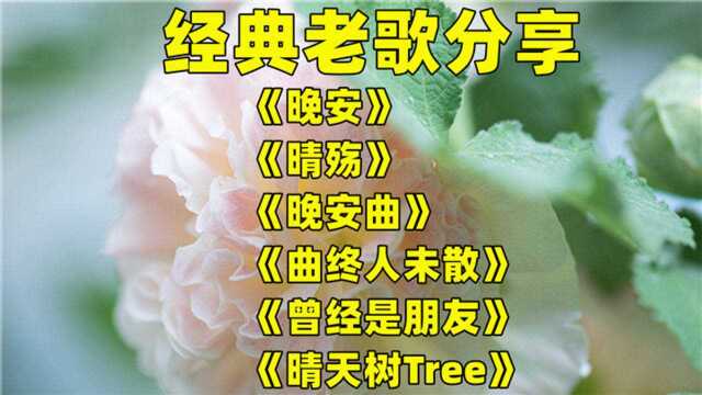 《晚安》《晚安曲》《晴天树Tree》《晴殇》《曲终人未散》《曾经是朋友》