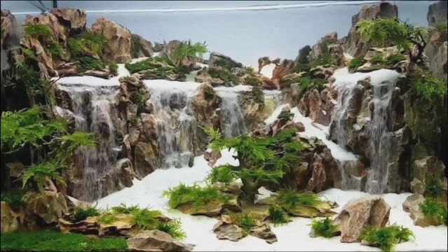 价值2.5万的流沙瀑布,山水水族景,大自然浓缩在玻璃缸里,好美