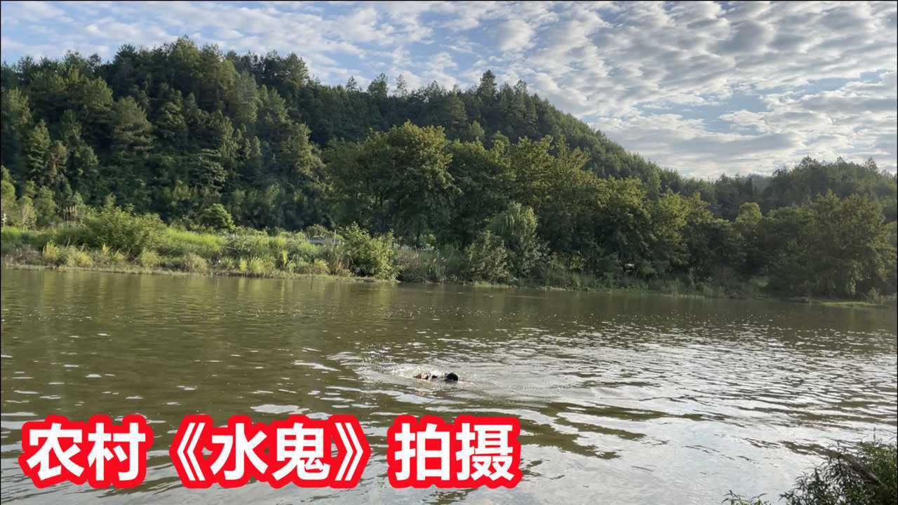 下午1点,真人实拍,农村大河里的"水鬼"抓鱼又来了