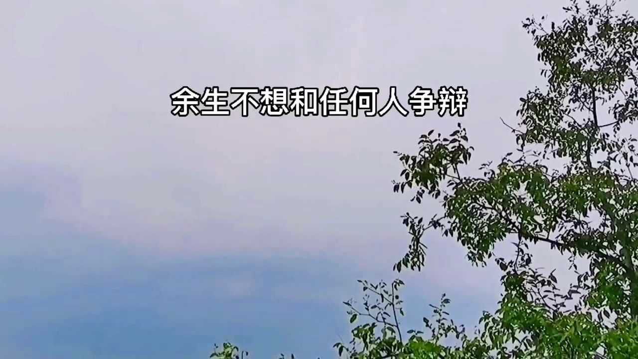余生不想和任何人争辩,哪怕别人说1加1等于7,我都笑着说是对的,心大了