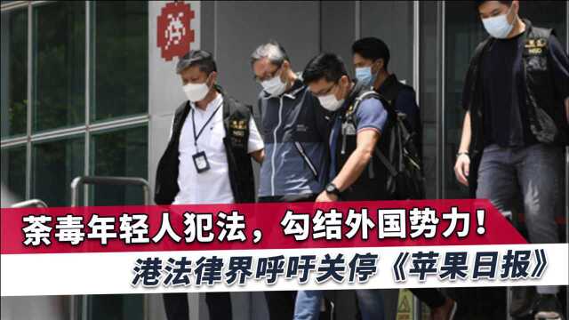 “毒苹果”勾结外国势力乱港,香港重量级人物呼吁关停、尽快取缔