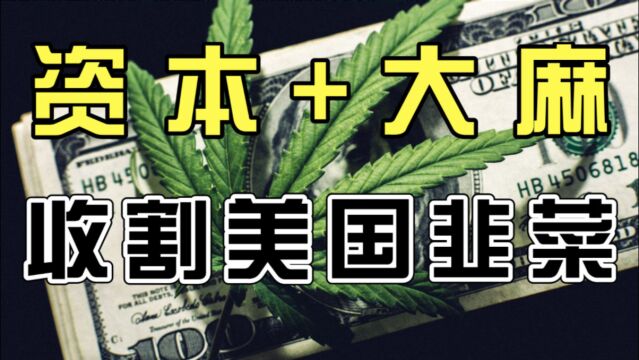 先上市,再成立公司,零投入,如今市值33亿美元,怎么可能?