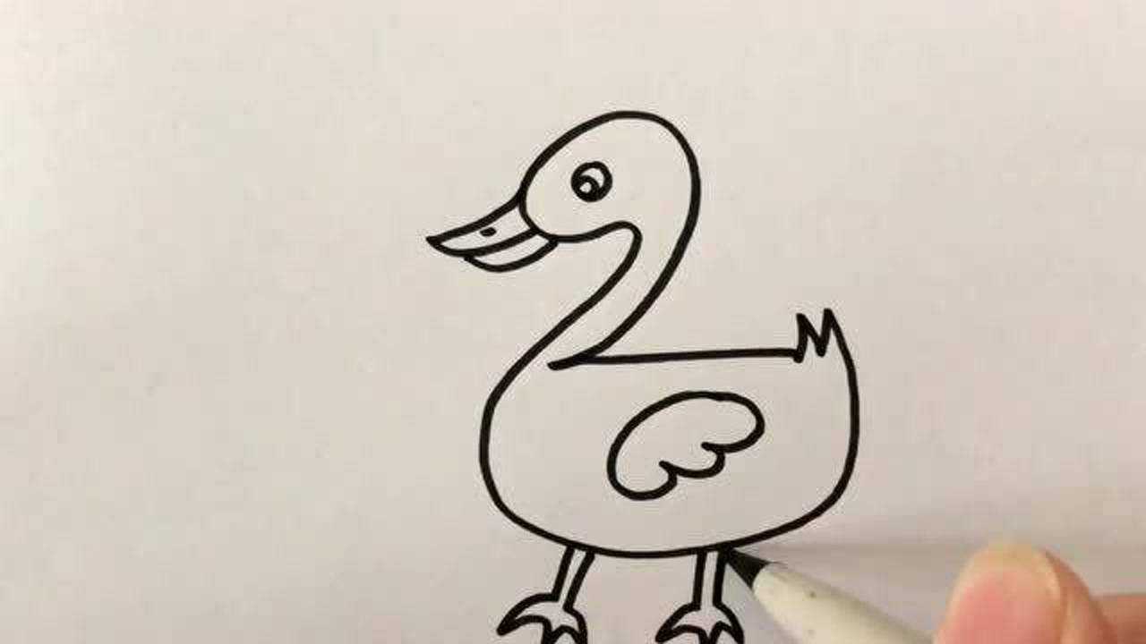 2字画鸭子简化图片