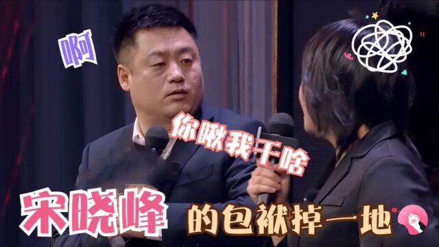 宋晓峰的包袱无处不在!往别人身上扣屎盆子包袱抖一地,笑翻全场