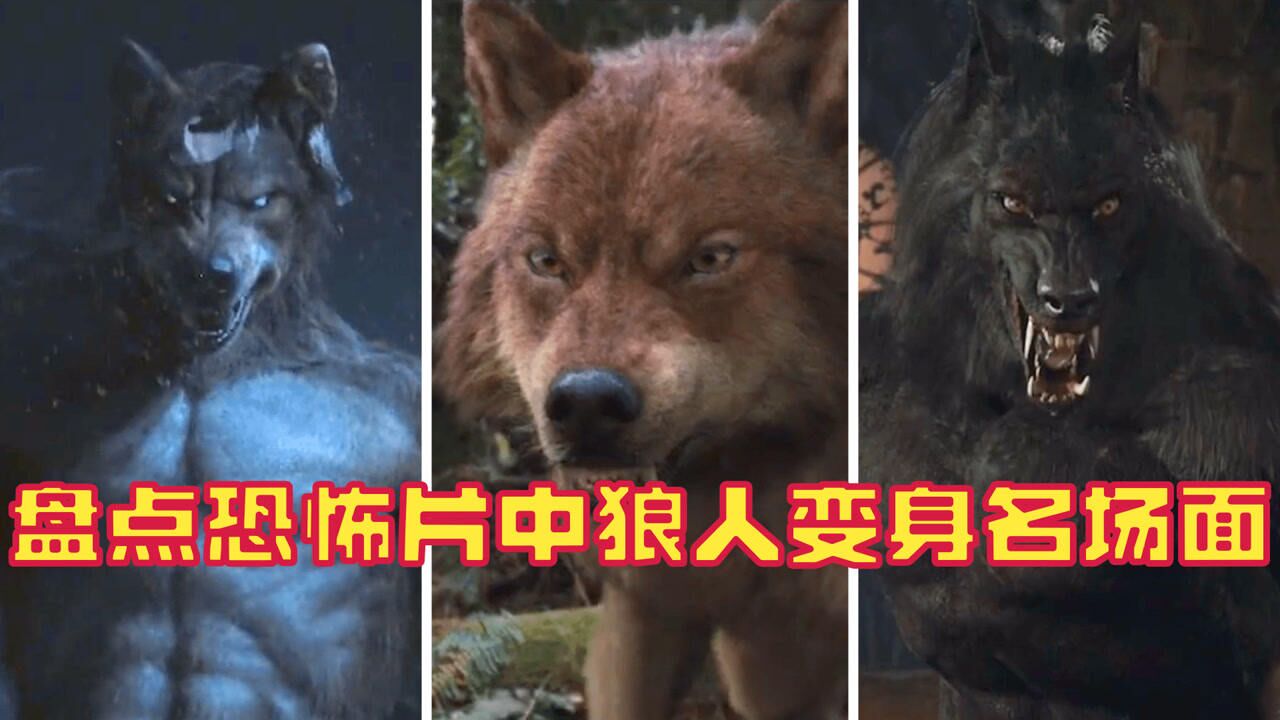 奇幻恐怖片合集_盘点恐怖片中的狼人变身名场面,月圆之夜,就变身狼人猎杀_高清1080P在线观看平台_腾讯视频