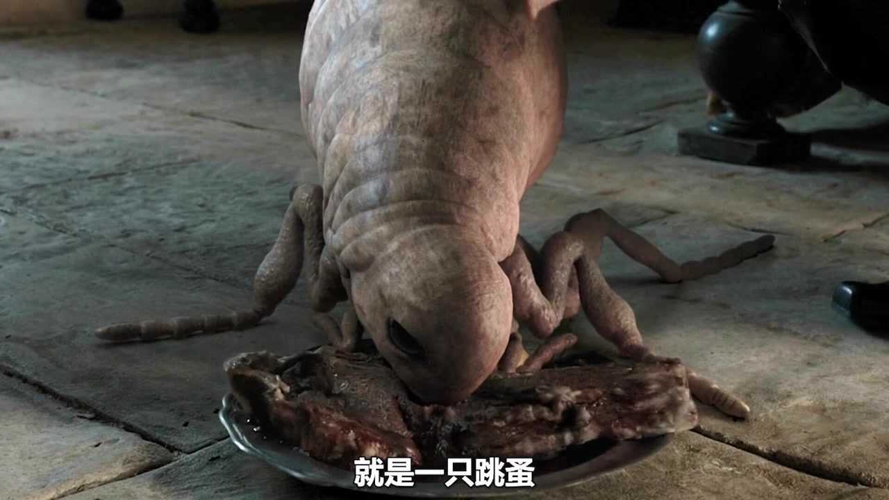 跳蚤:这是一只巨型跳蚤_腾讯视频