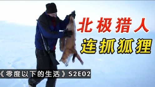 北极猎人：猎人连抓三只狐狸，用步枪远距离击杀灰狼，小赚一万