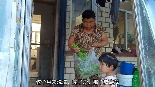 黑土地也能长出空心菜,吃不完送人,让东北舅妈尝尝南方青菜!