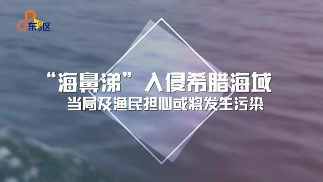 “海鼻涕”入侵希腊海域 当局及渔民担心或将发生污染