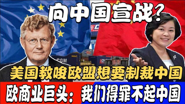 向中国宣战?美国教唆欧盟欲制华,欧商业巨头:我们得罪不起中国