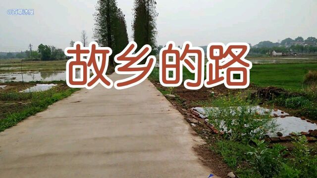 好歌传唱 故乡的路