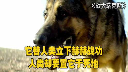 战犬瑞克斯：它替人类立下赫赫战功，人类却要置它于死地 #电影种草指南大赛#