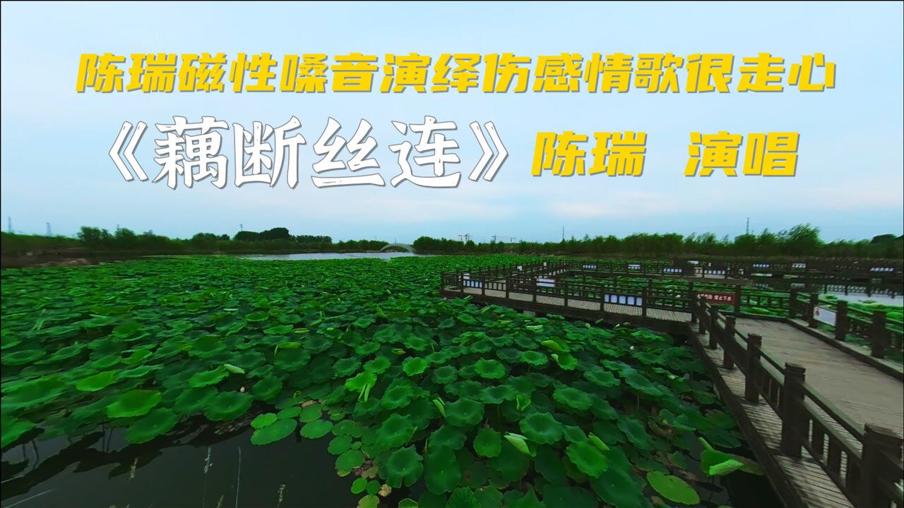 陈瑞一首经典情歌《藕断丝连》,歌声伤感让人心疼