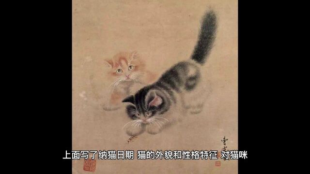 你不知道的历史趣知识:聘猫