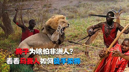 狮子为啥怕非洲人?看看马赛人如何徒手杀狮,像抓小猫一样.