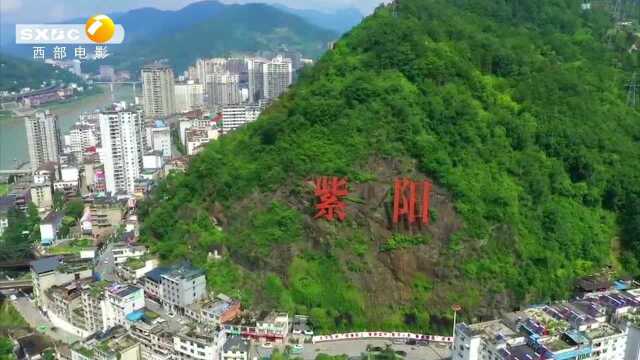 紫阳茶韵:夏梅子新歌MV