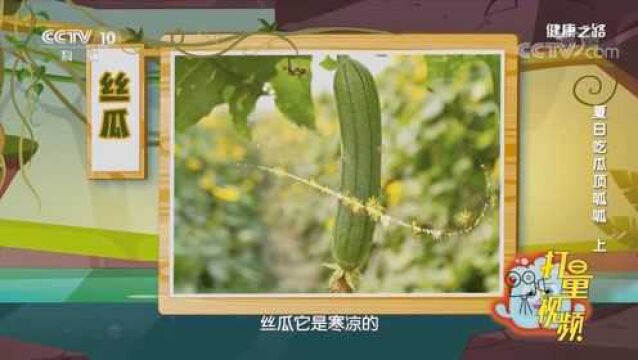 丝瓜为何被称为“美颜瓜”?专家进行介绍,快来听听