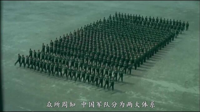 中国女兵:武警部队最为神秘的特种兵,看似娇弱却个个骁勇善战!