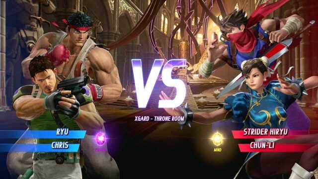 Ryu & Chris vs Strider Hiryu & ChunLi