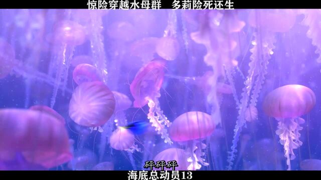 海底总动员13,惊险穿越水母群,多莉险死还生