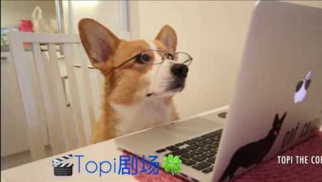 Topi喜剧#15:你在特别饿的时候,也会点太多外卖吗?钱包告急呀~~