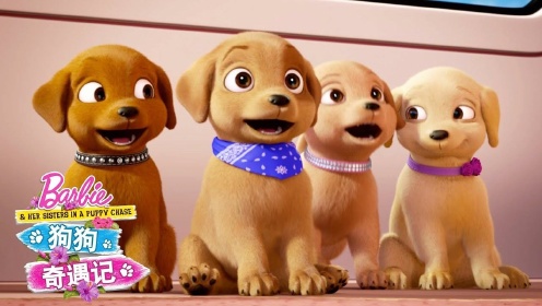狗狗奇遇记：看的不是剧情，而是可爱的狗狗们#电影HOT短视频大赛 第二阶段#