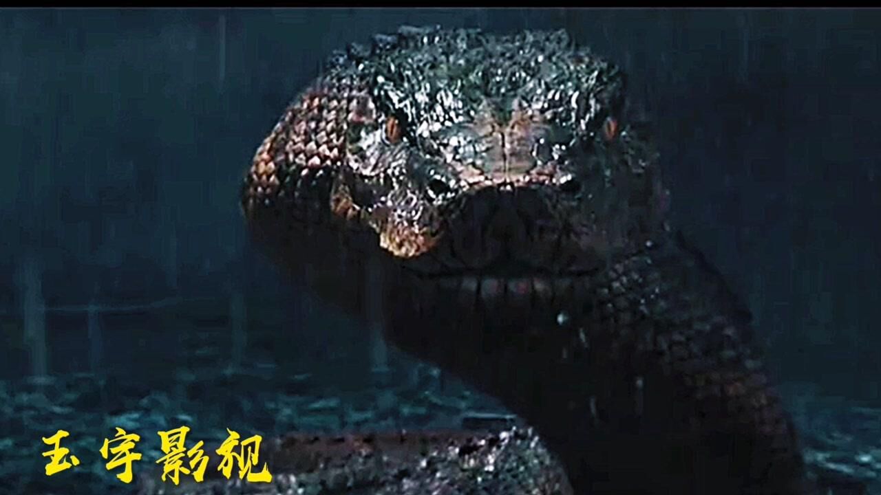 蛇王岛泰坦巨蟒电影图片