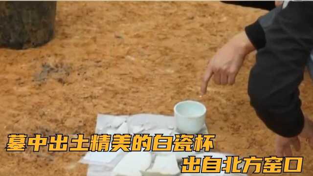 墓中出土精美的白瓷杯,出自北方窑口,间接说明墓是迁葬来的