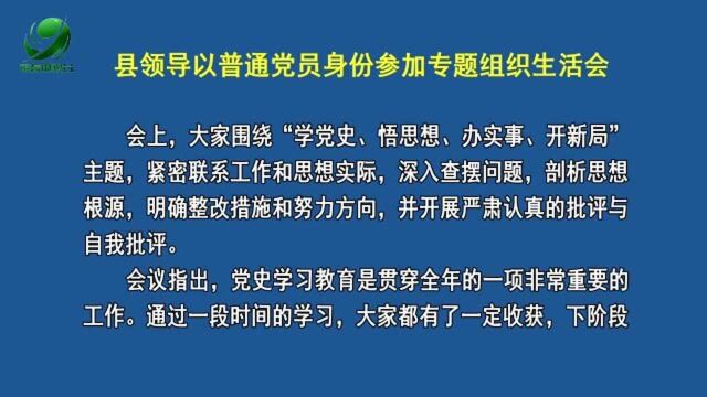 县领导以普通党员身份参加专题组织生活会