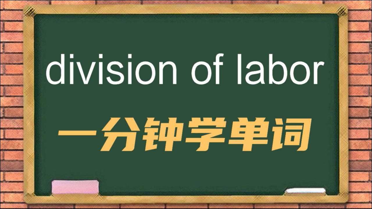 一分钟一词汇,短语division of labor你知道它是什么意思吗