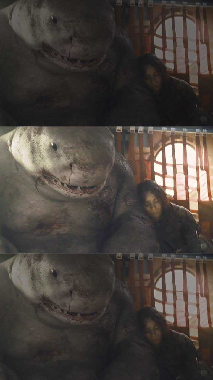 鲨鲨能有什么坏心眼呢他只是想有个朋友憨憨的纳纳塞明明那么可爱鲨鱼