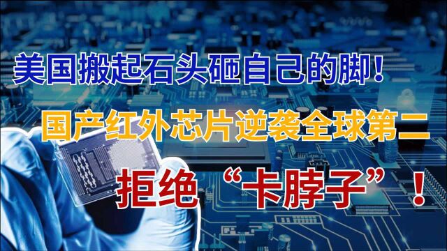 美国曾向中国禁售红外芯片,倒逼出一家国产巨头,逆袭成全球第二