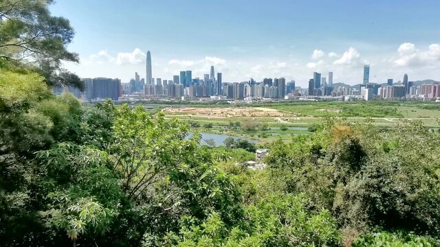 从香港落马洲口岸的一小山顶瞭望深圳和河套待开发区【岳中琦博主】