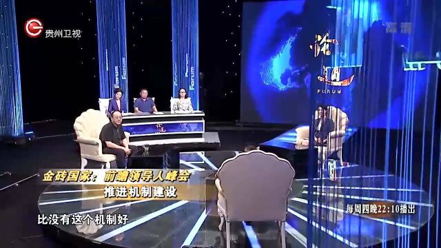 金砖国家加强产业合作,发展在全球价值链中的地位丨论道