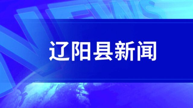 中国纺织工业联合会产业集群试点考察组到辽阳县考察