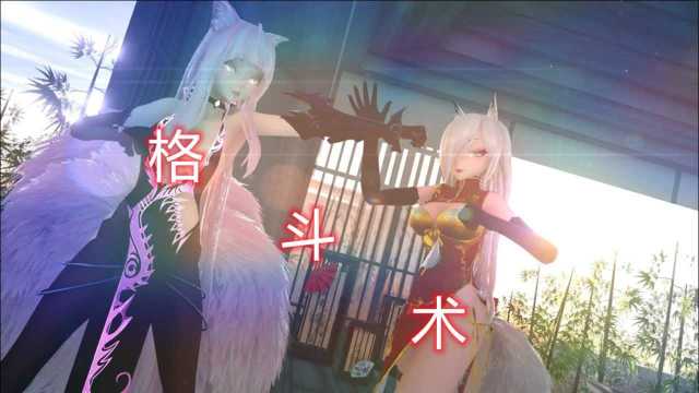 MMD混剪,格斗术无形物质