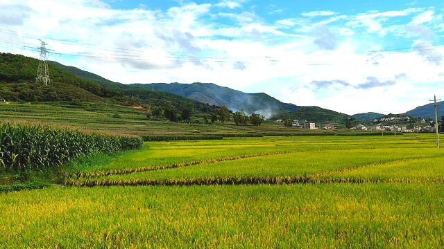 禄劝县翠华镇2021年丰收金秋