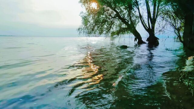 落日余晖下的平顶山市白龟湖,波光粼粼,水天一色.真是美爆了