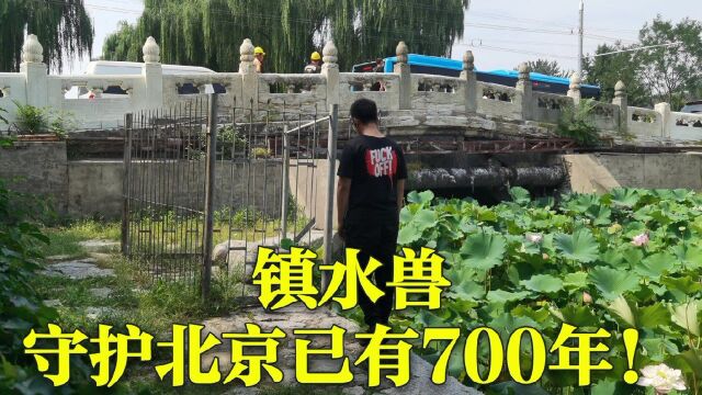 二环内神秘“镇水兽”掌管北京水界750年,万宁桥下的秘密!