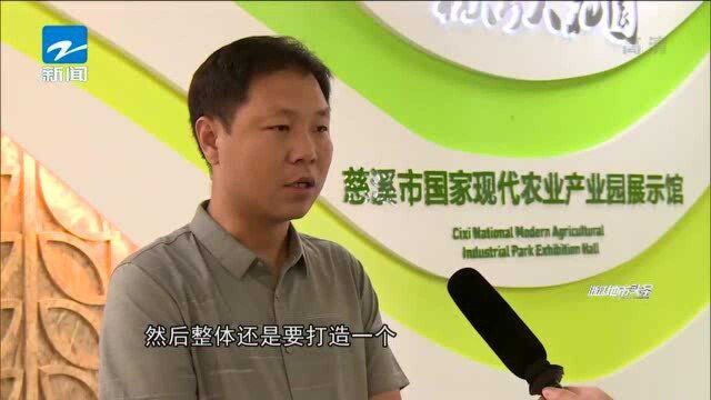 慈溪:现代农业开发区高质量谋划“争拼赶超”展示线起点