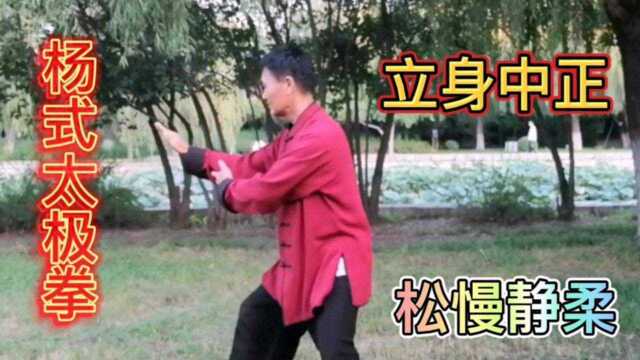 杨式太极拳是智慧拳是养生拳是矛盾拳是养生拳