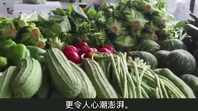 人民日报再次揭开马云真面目,资本家嘴脸展露无遗,他还能够抗住吗!