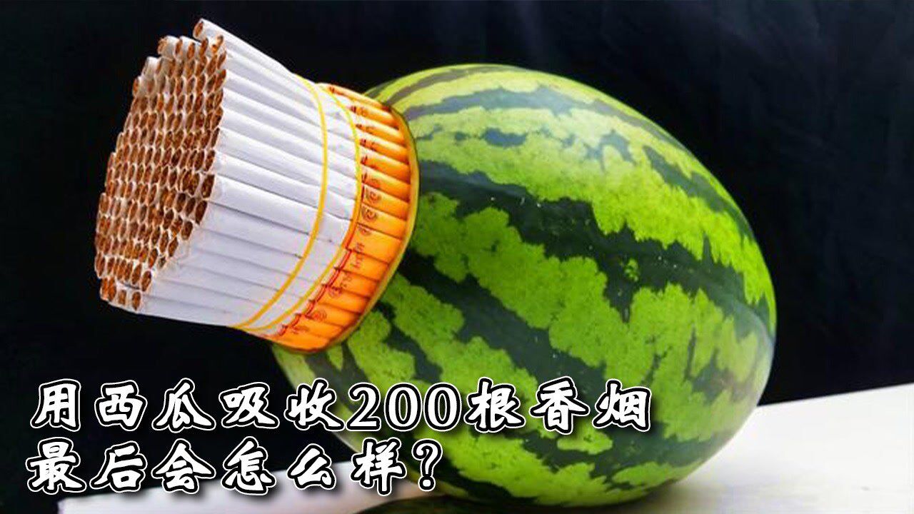 一次性抽完200根香烟会怎么样？小伙用西瓜做了次实验_高清