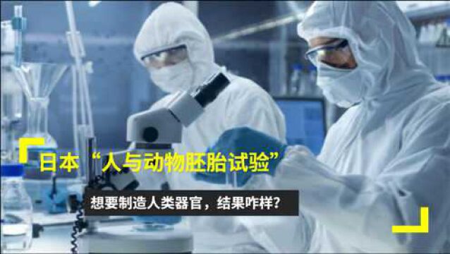 日本“人与动物胚胎试验”,想要制造人类器官,结果如何了?