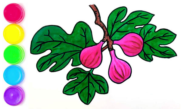 绘画系列,怎样画无花果?