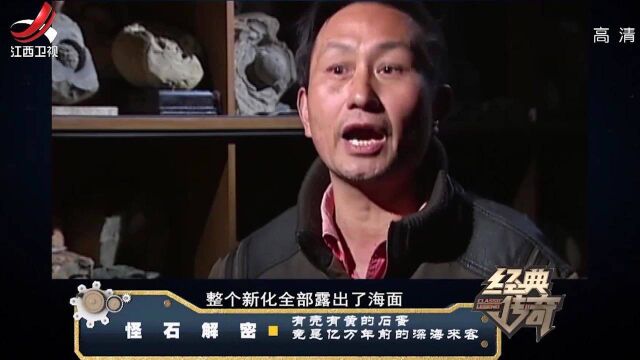 小山村惊现石蛋,有壳有黄,有人猜测是恐龙蛋,专家:不可能