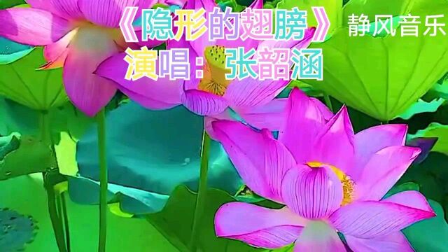 歌曲《隐形的翅膀》演唱:张韶涵