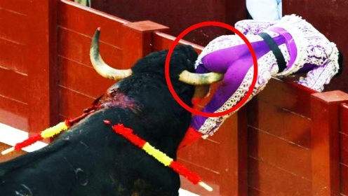 西班牙斗牛生死瞬间，小伙挑衅野牛被顶飞数米，拿生命在演绎作死