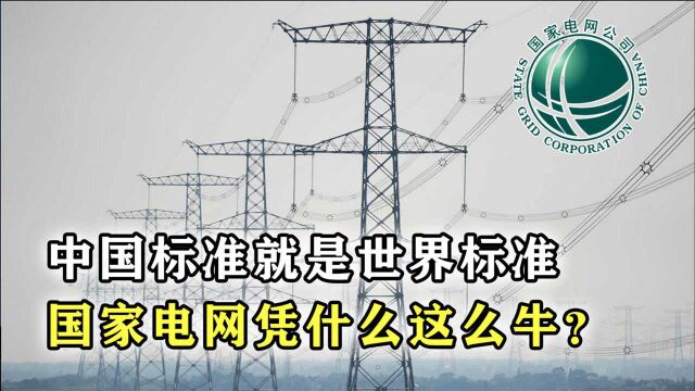 14亿人全民通电,中国标准就是国际标准,国家电网凭什么这么牛?